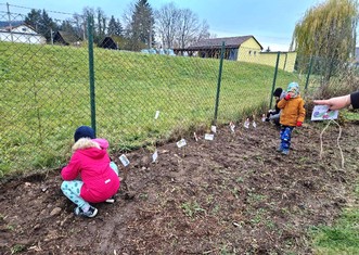 O výsadbu keřů maliníku a ostružníku se postraly na své zahradě děti z MŠ Kamenáček