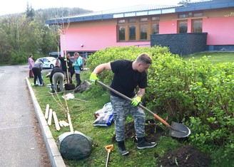 O výsadbu nových stromů se v areálu SOS dětské vesničky postarali zaměstnanci specializované zahradnické firmy z Citic.  (PE-REZA) 