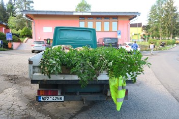 O výsadbu nových stromů se v areálu SOS dětské vesničky postarali zaměstnanci specializované zahradnické firmy z Citic.  (PE-REZA) 