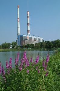 Elektrárna Dětmarovice - pohled