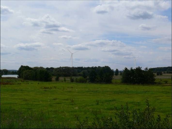 Víchovský rybník