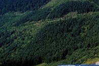Medium: /edee/content/img/pro-media/fotogalerie/galerie-dlouhe-strane/medium/06_dlouhe_strane.jpg