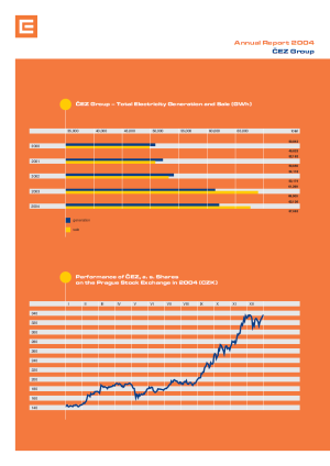 Annual report 2004