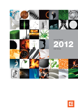 Annual report 2012