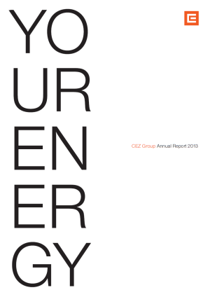 Annual report 2013