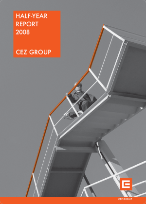Half-year Report 2008
