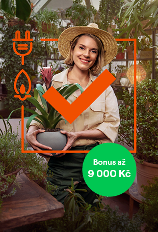 Přejděte k ČEZ