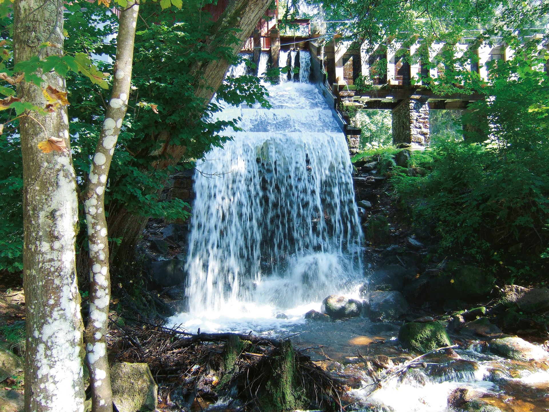 Cenkova pila (Cenek´s Saw-mill)