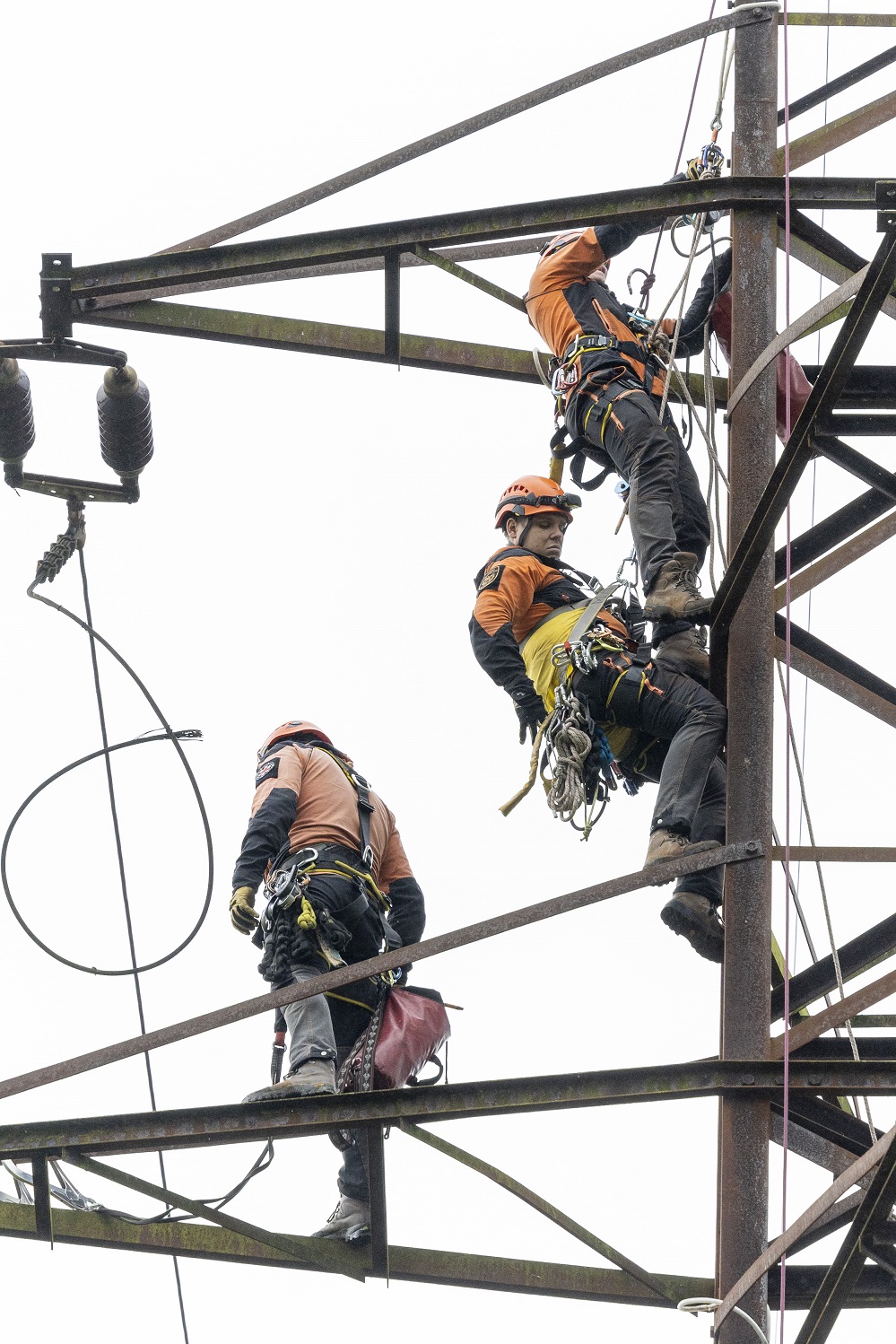 Cvičení záchrany osob ze stožáru a vedení vysokého napětí v Plzni