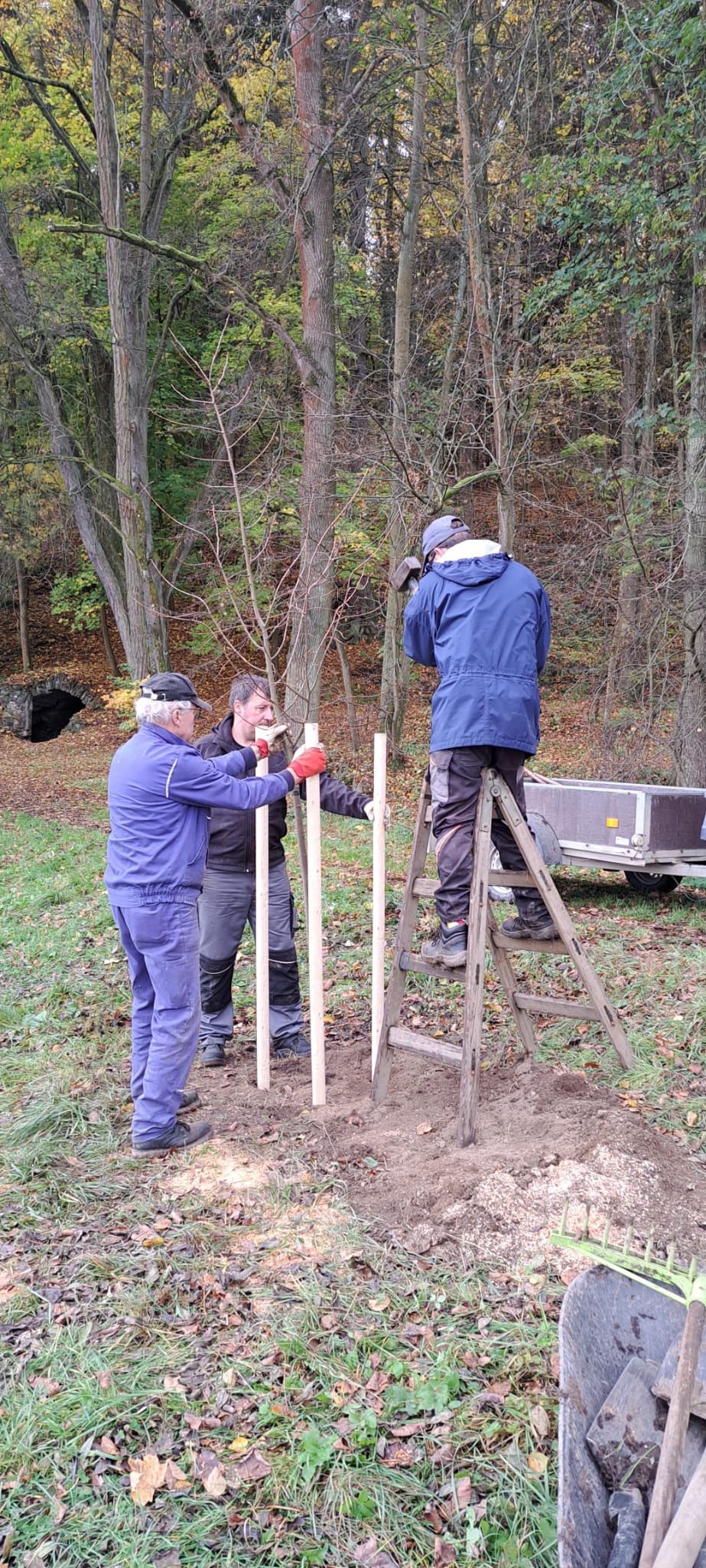 Sázení lipové aleje v dětském letním táboře poblíž Smědčic