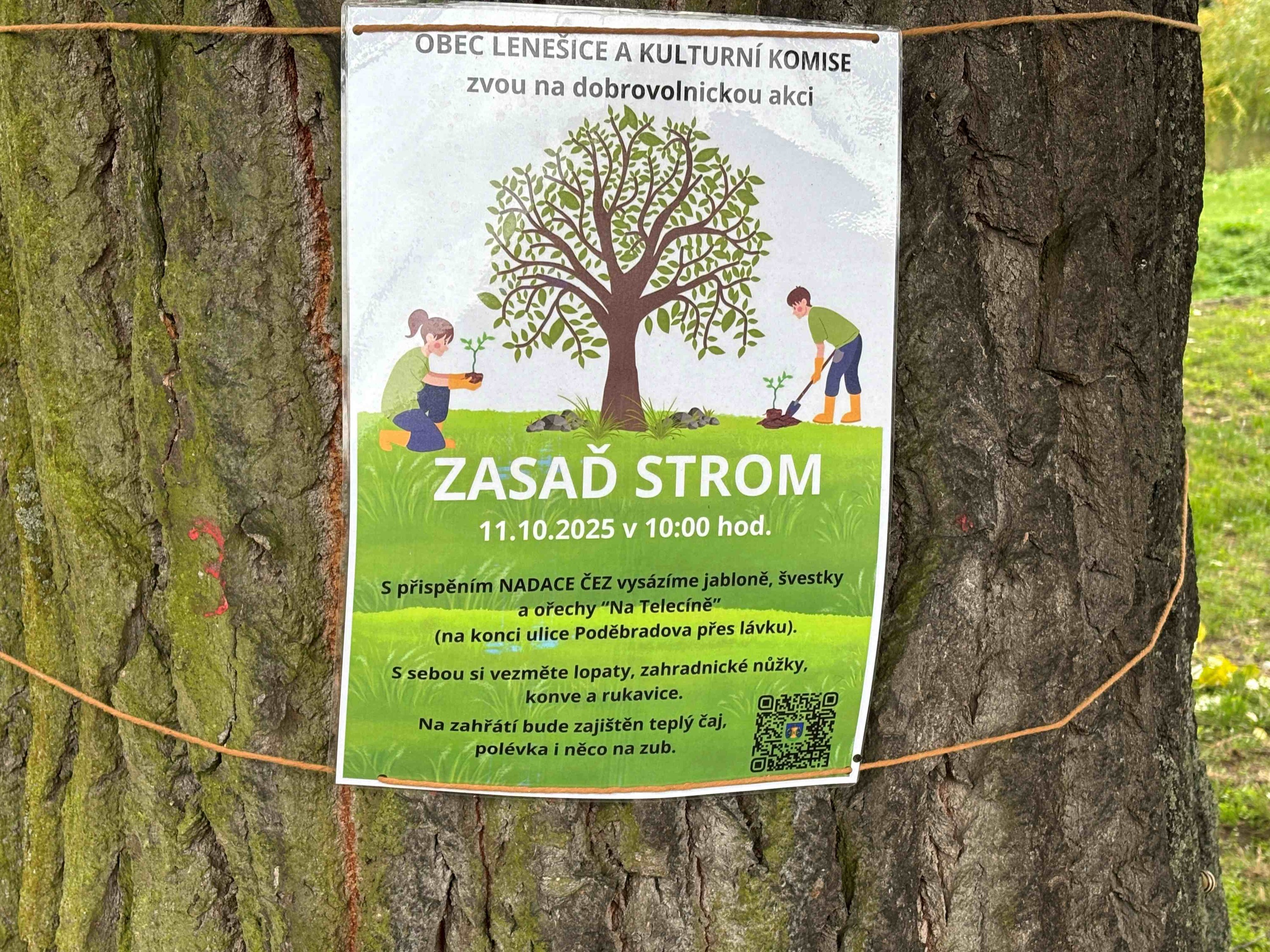 Grant Stromy Lenešice