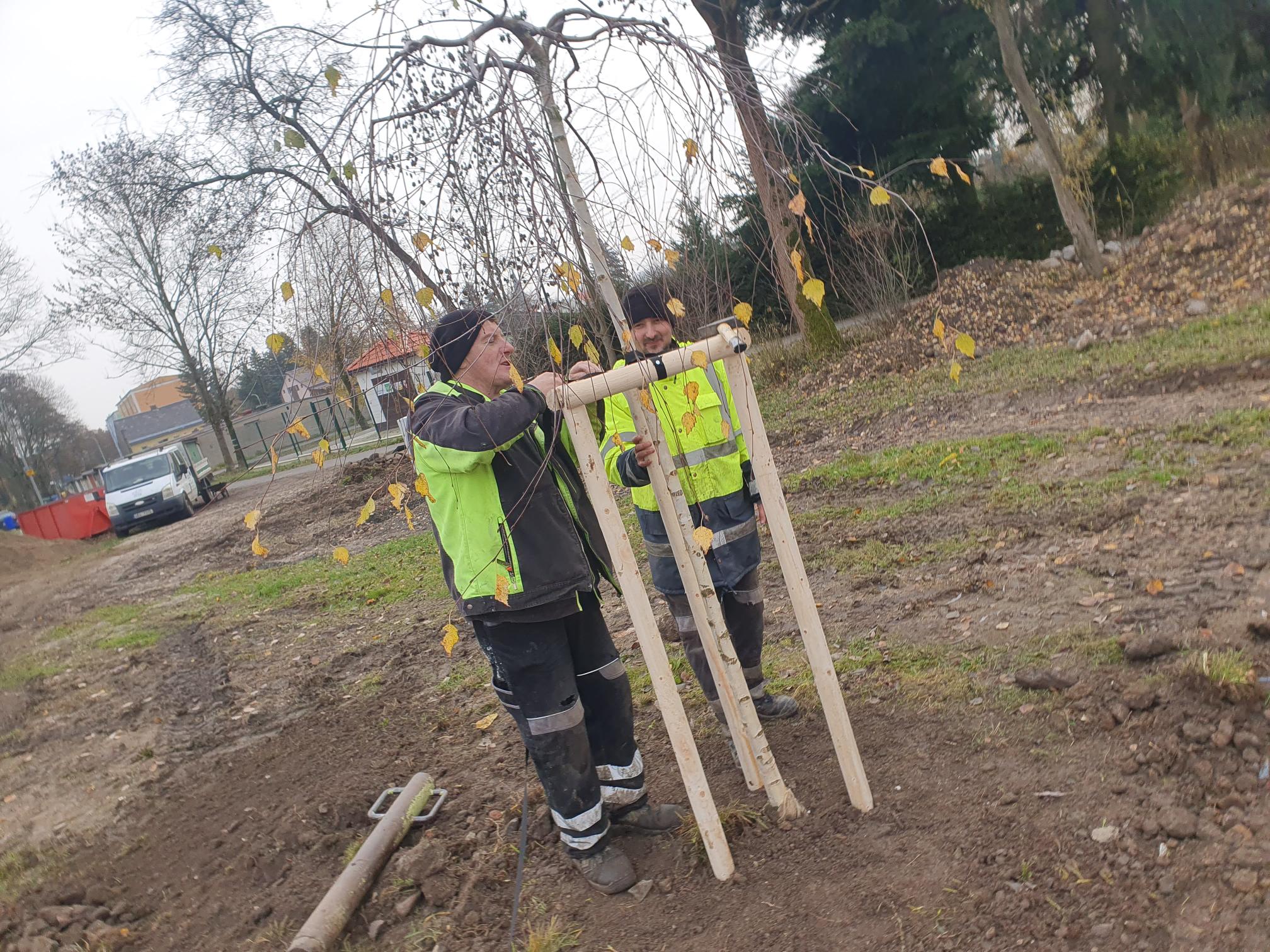 Výsadba stromů v Hroznětíně