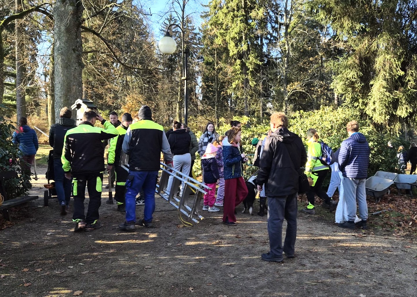 Grant Stromy Krásná Lípa