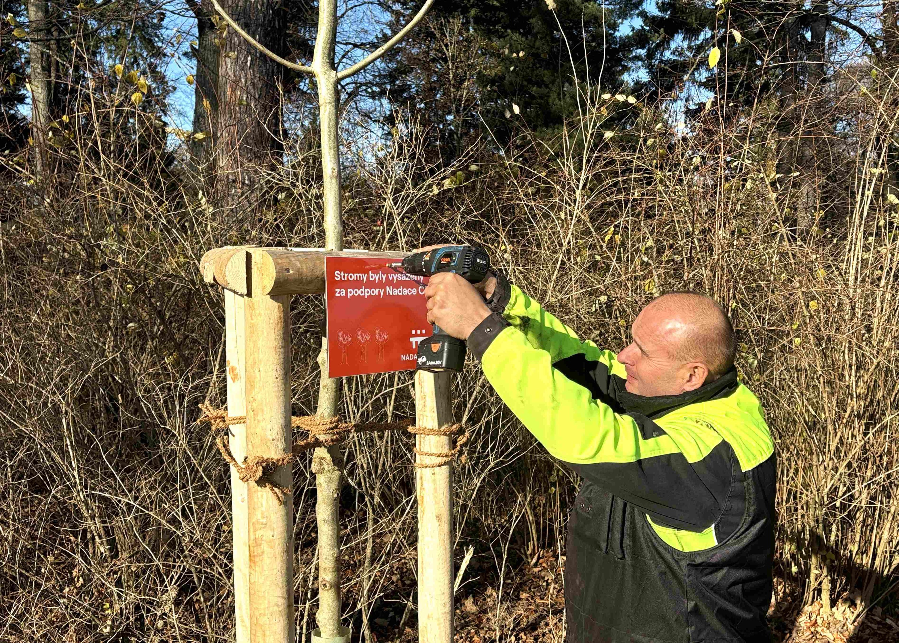 Grant Stromy Krásná Lípa