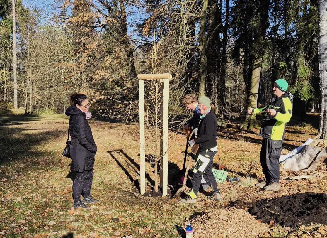 Grant Stromy Krásná Lípa