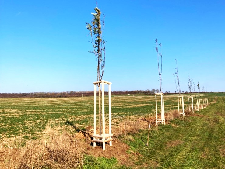 2x grant Stromy Jenichov