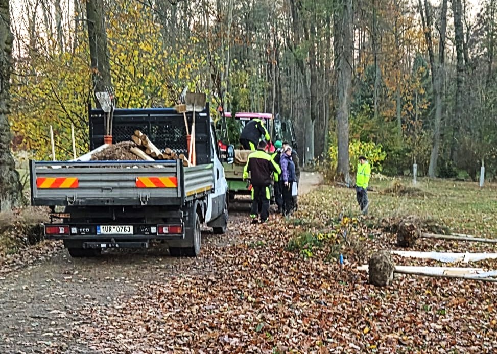 Grant Stromy Krásná Lípa