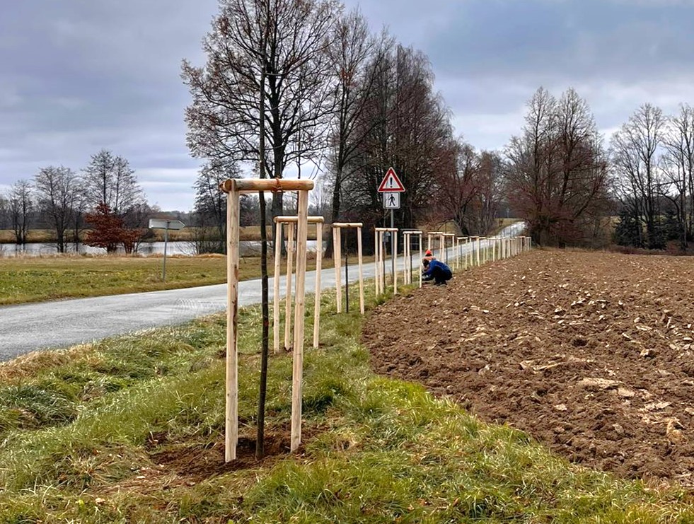 Grant Stromy Petrova Lhota