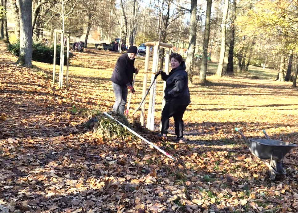 Grant Stromy Krásná Lípa