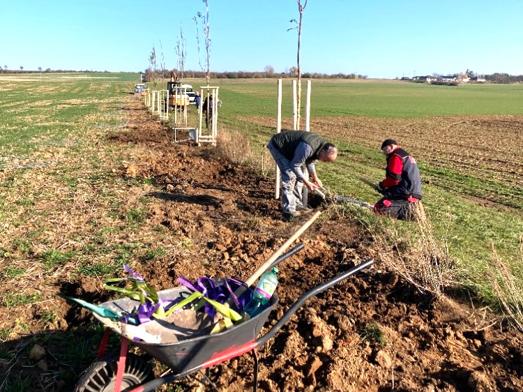 2x grant Stromy Jenichov