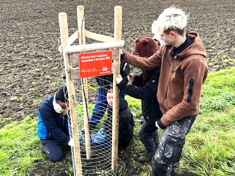 2x grant Stromy Jenichov