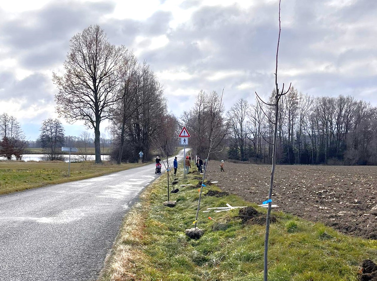 Grant Stromy Petrova Lhota