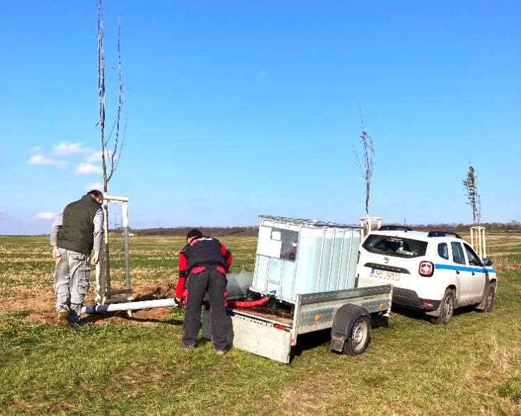 2x grant Stromy Jenichov