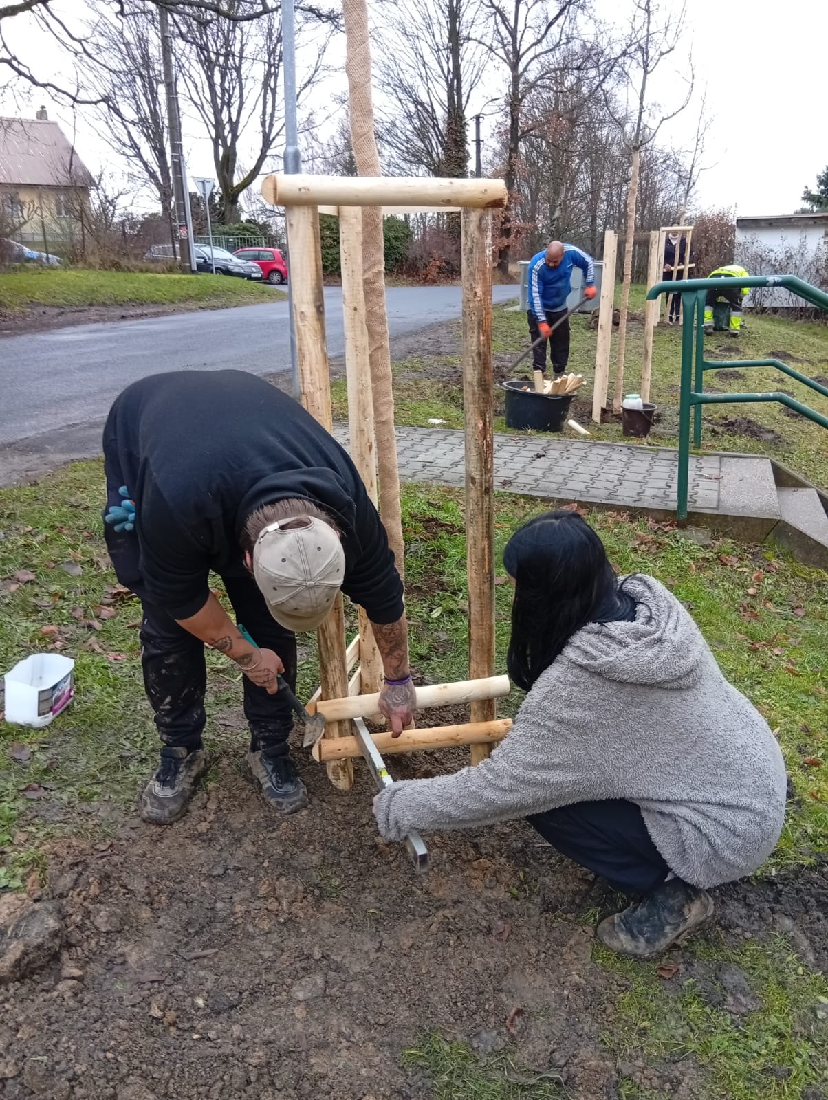 Výsadba stromů na sídlišti v Krajkové  