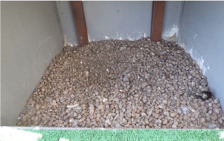 Sokolí farma ČEZ v roce 2025