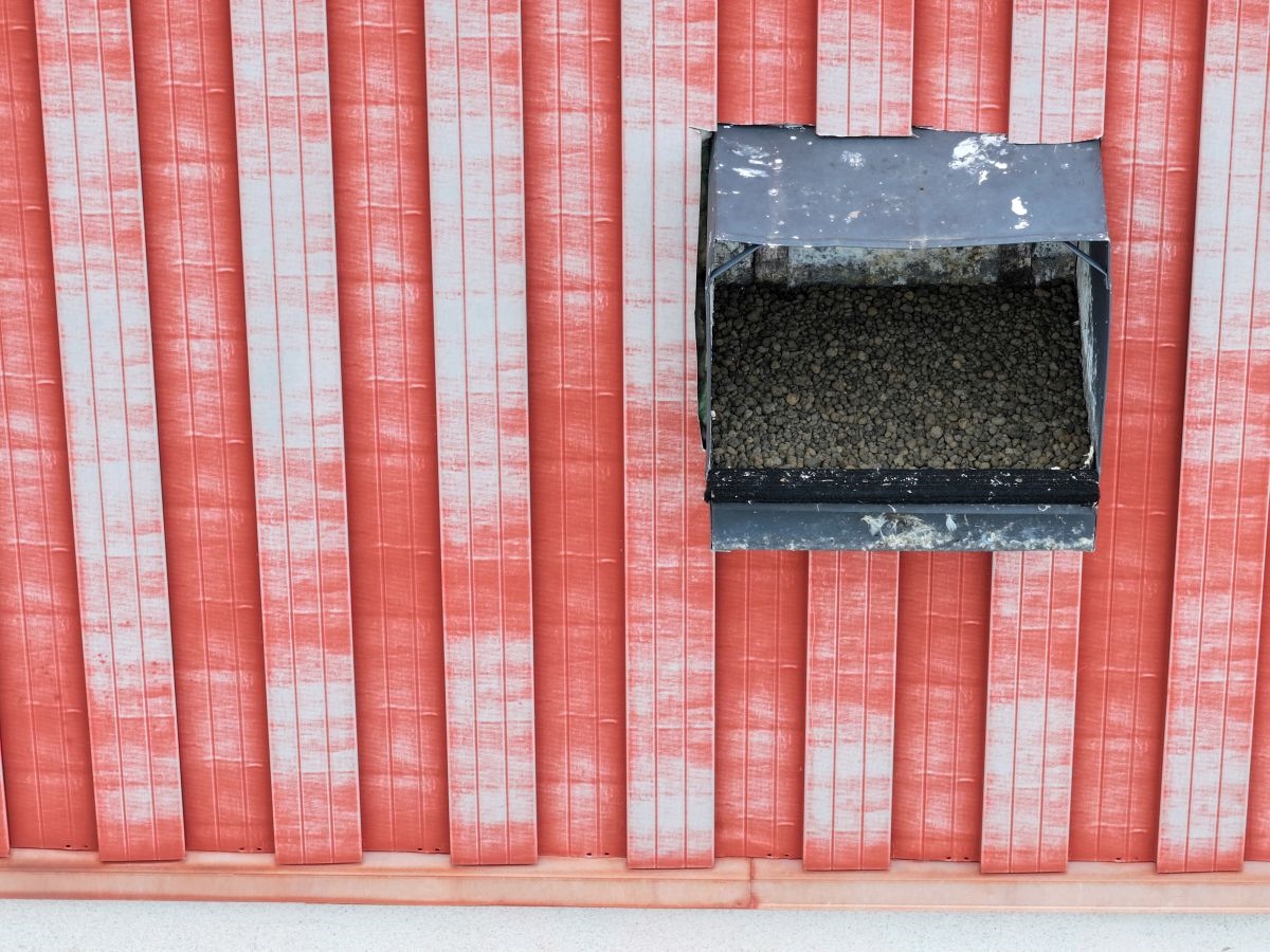 Sokolí farma ČEZ v roce 2025