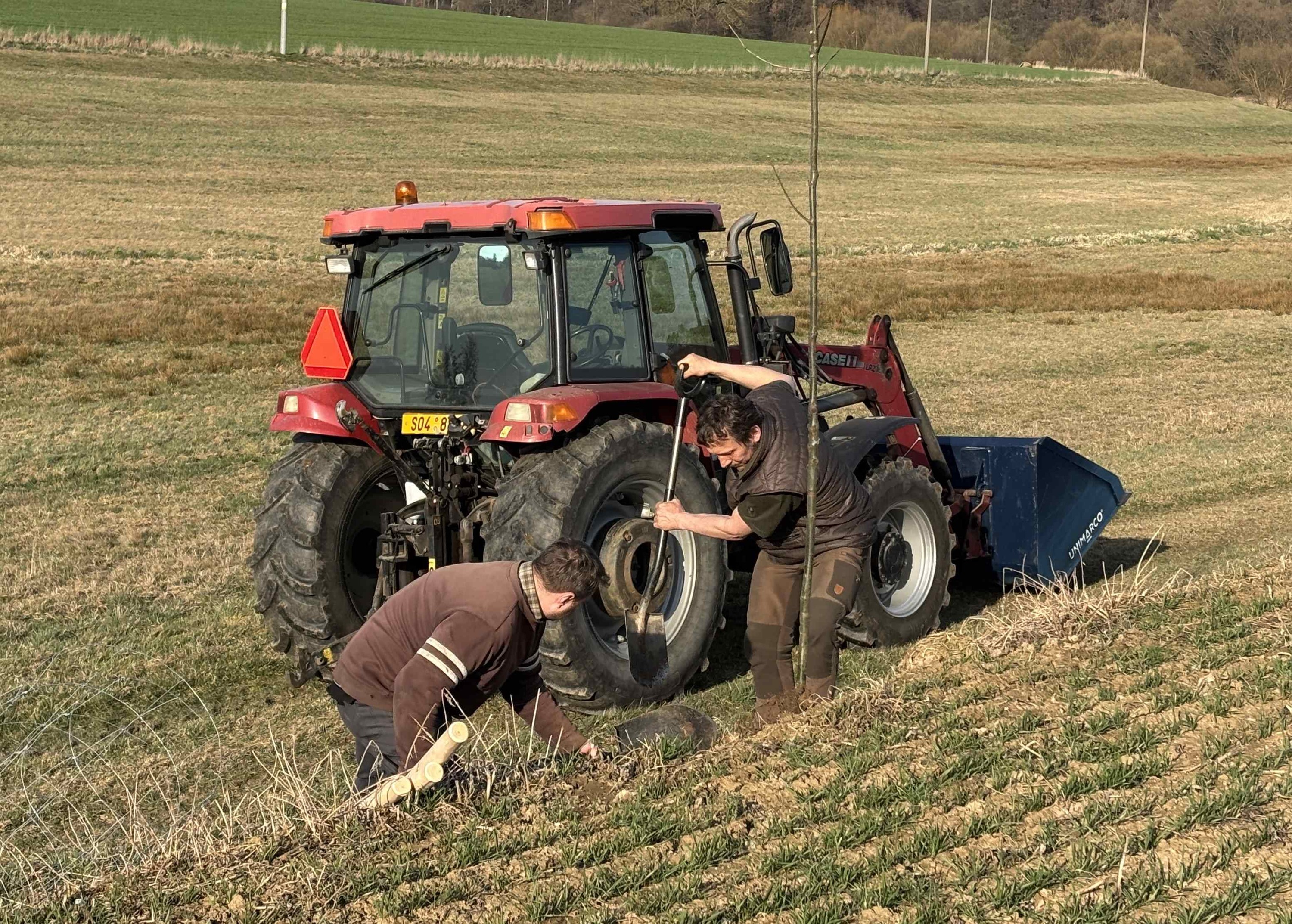 Grant Stromy Chrastovice