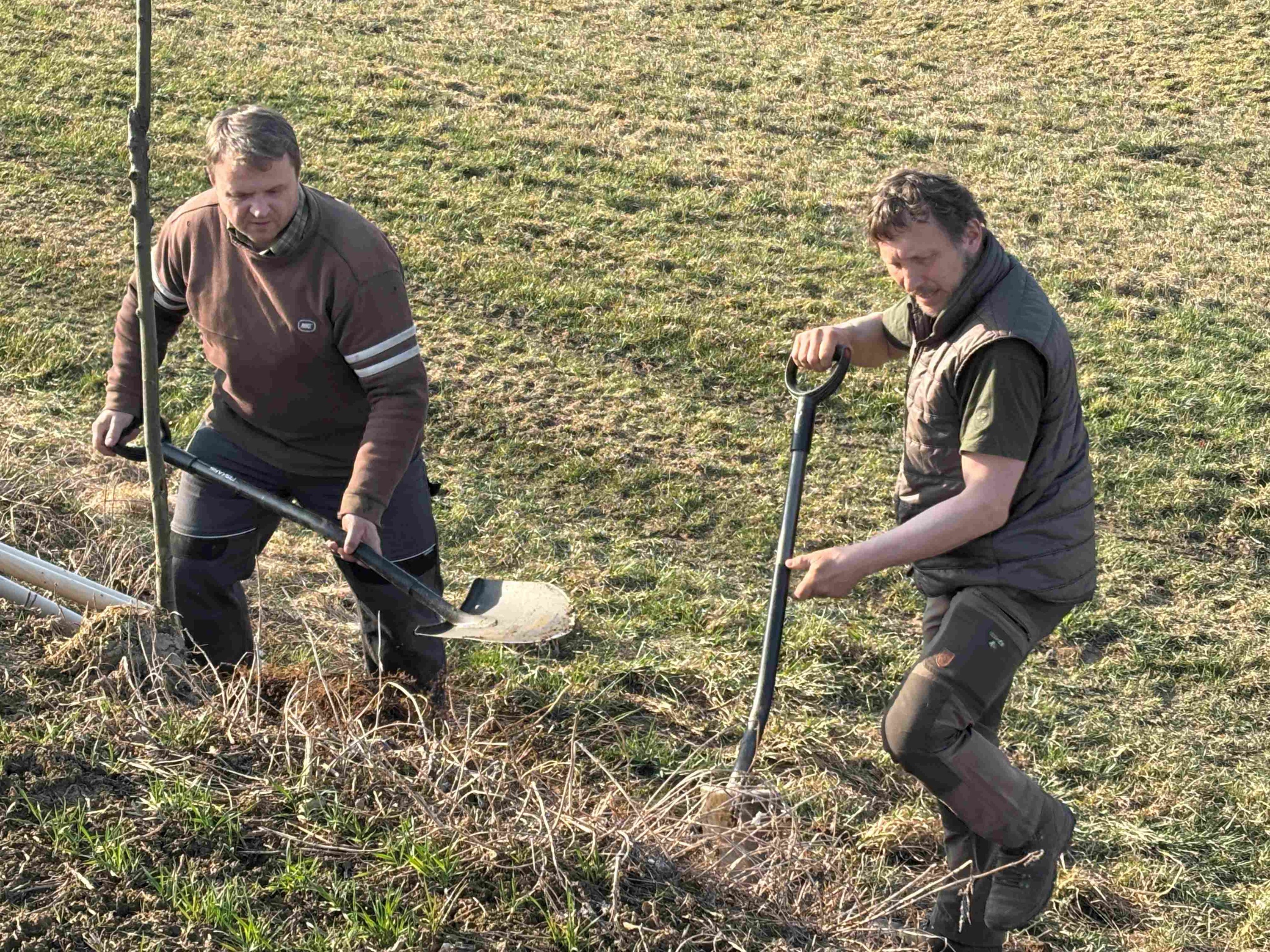 Grant Stromy Chrastovice