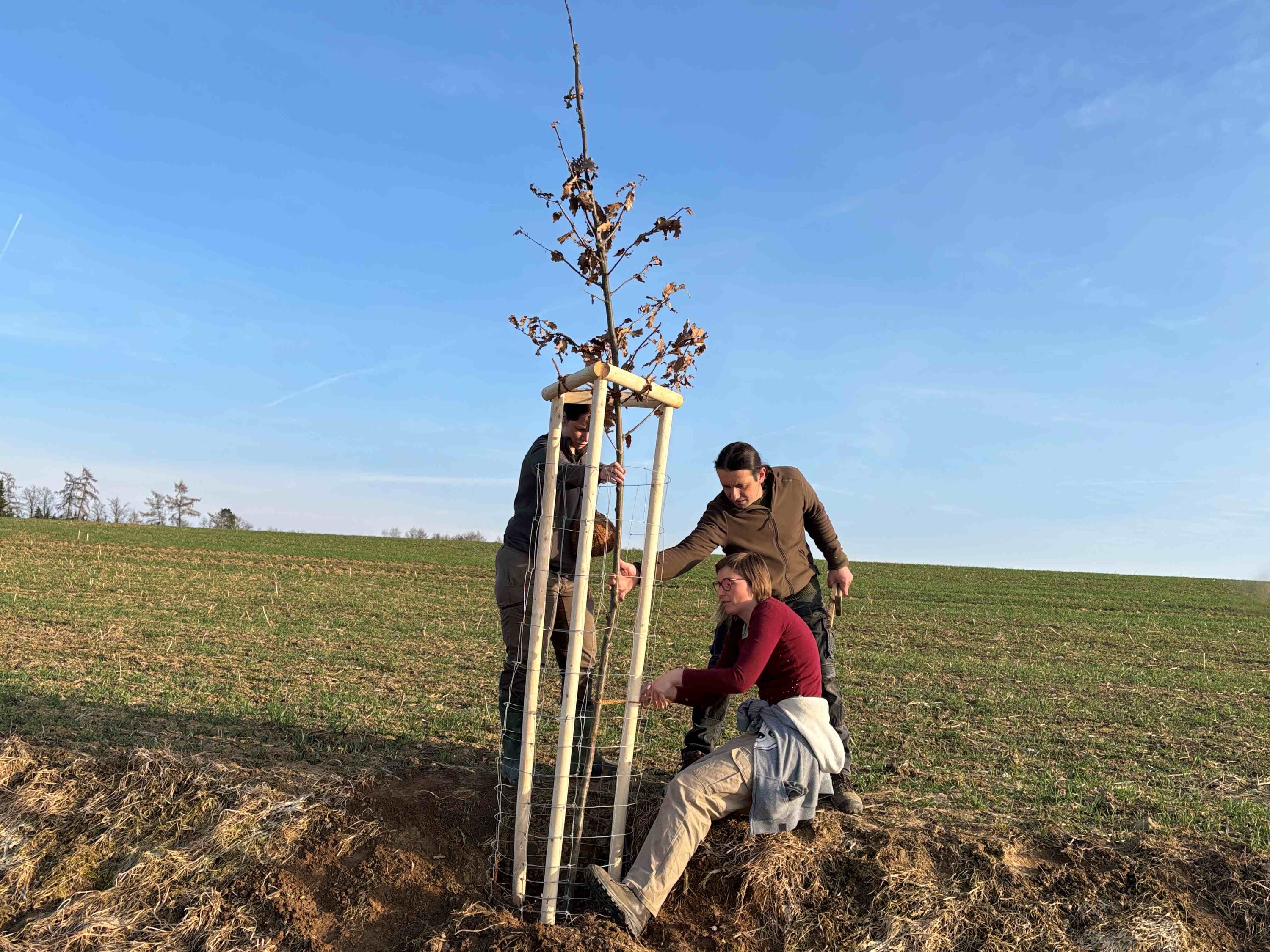 Grant Stromy Chrastovice