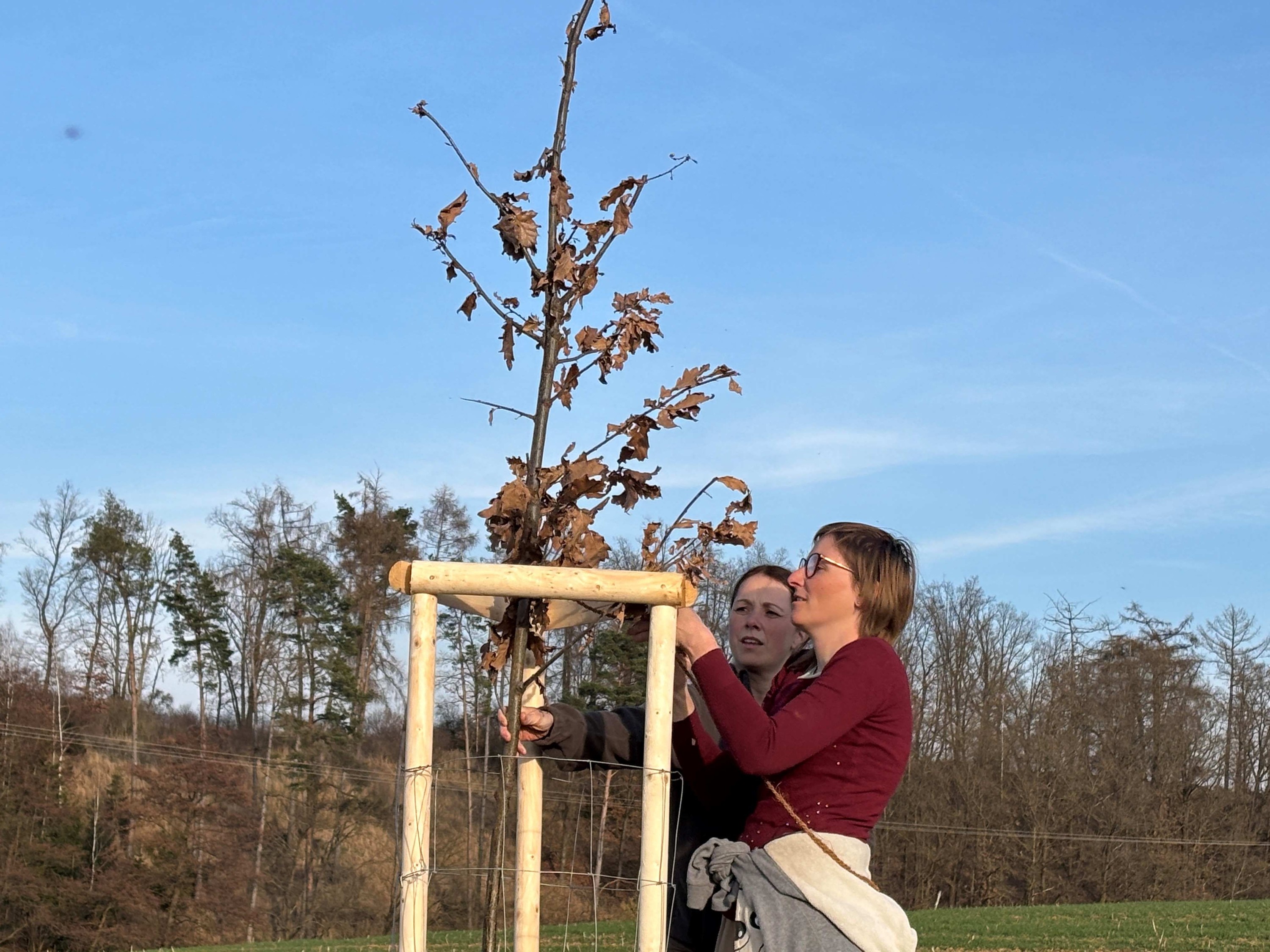 Grant Stromy Chrastovice