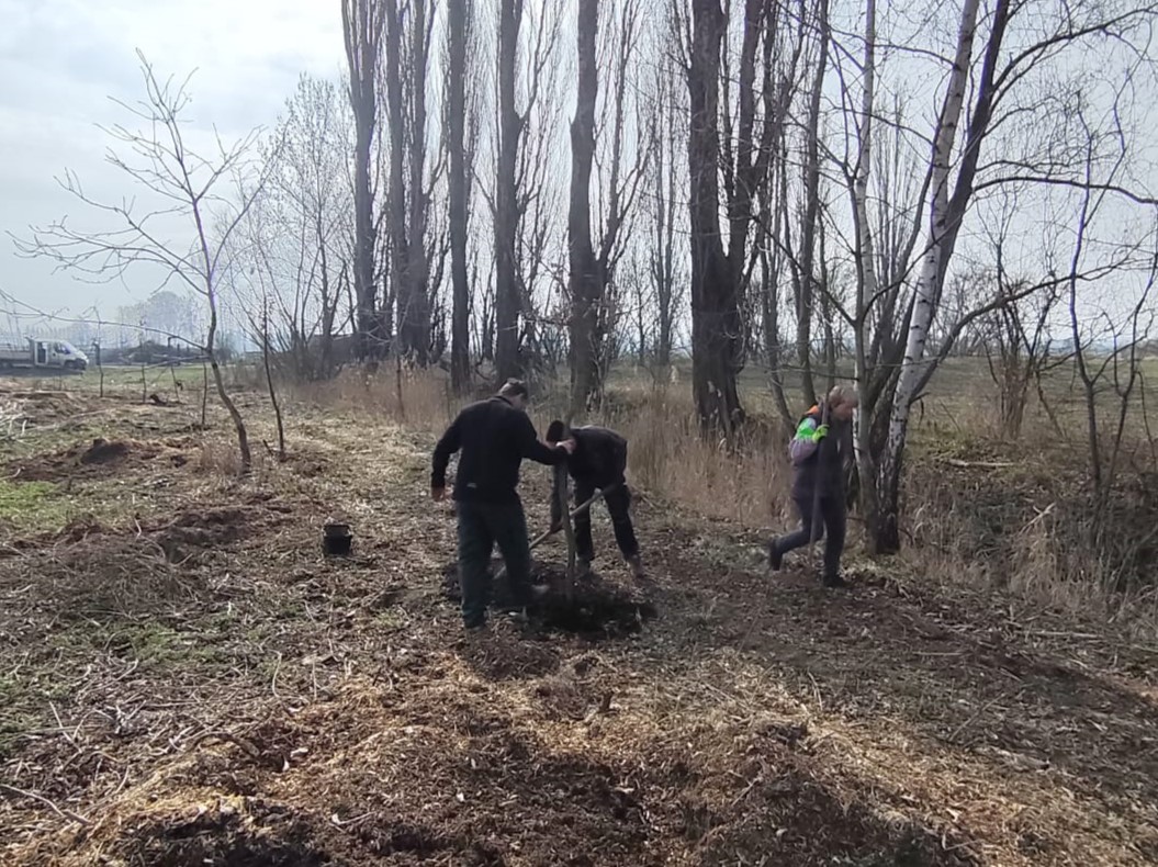 Grant Stromy Horušice