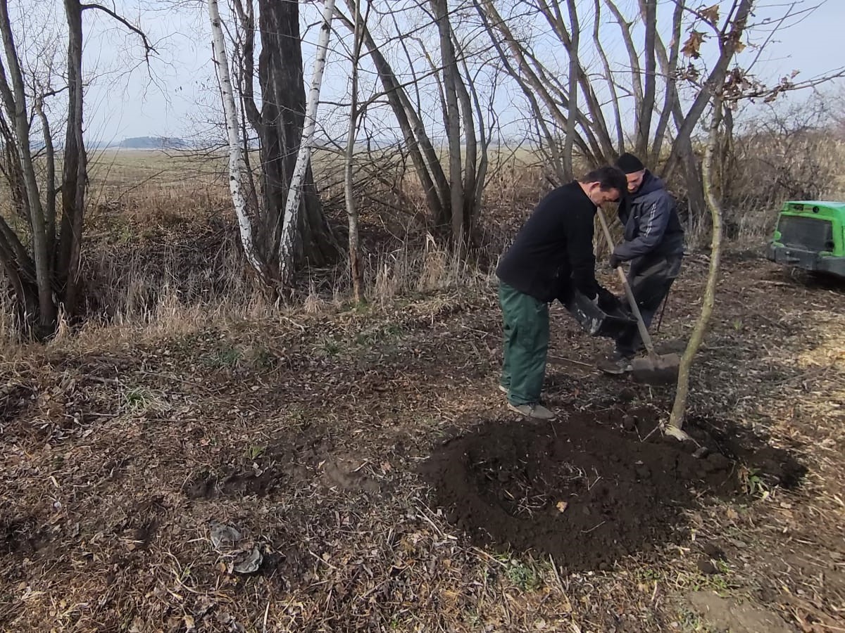 Grant Stromy Horušice