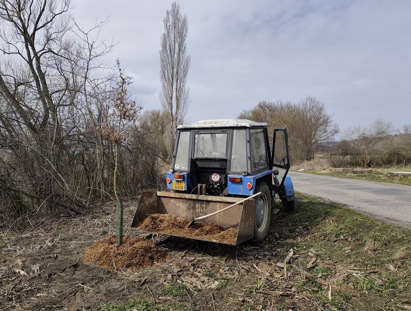 Grant Stromy Horušice