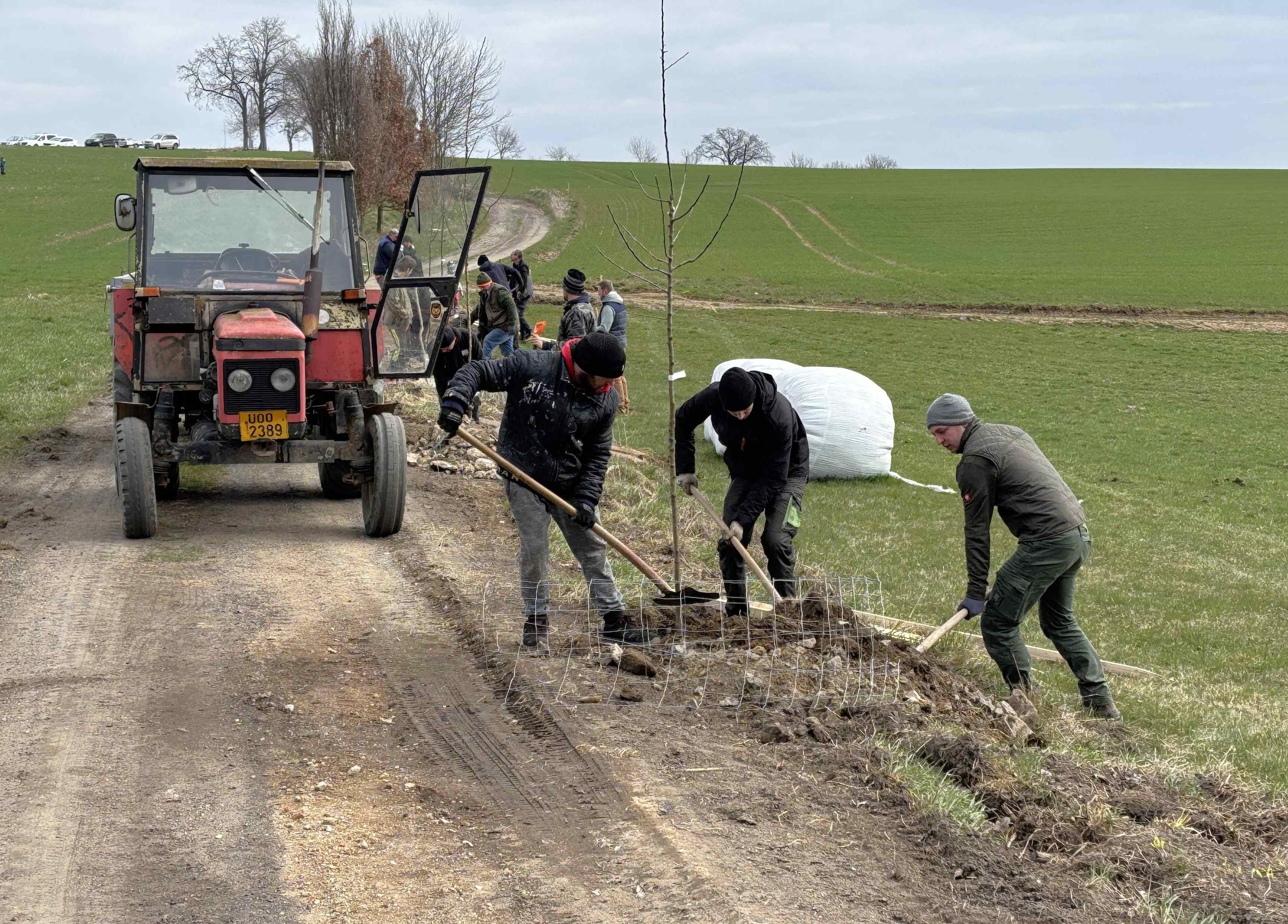 Grant Stromy Chmelná