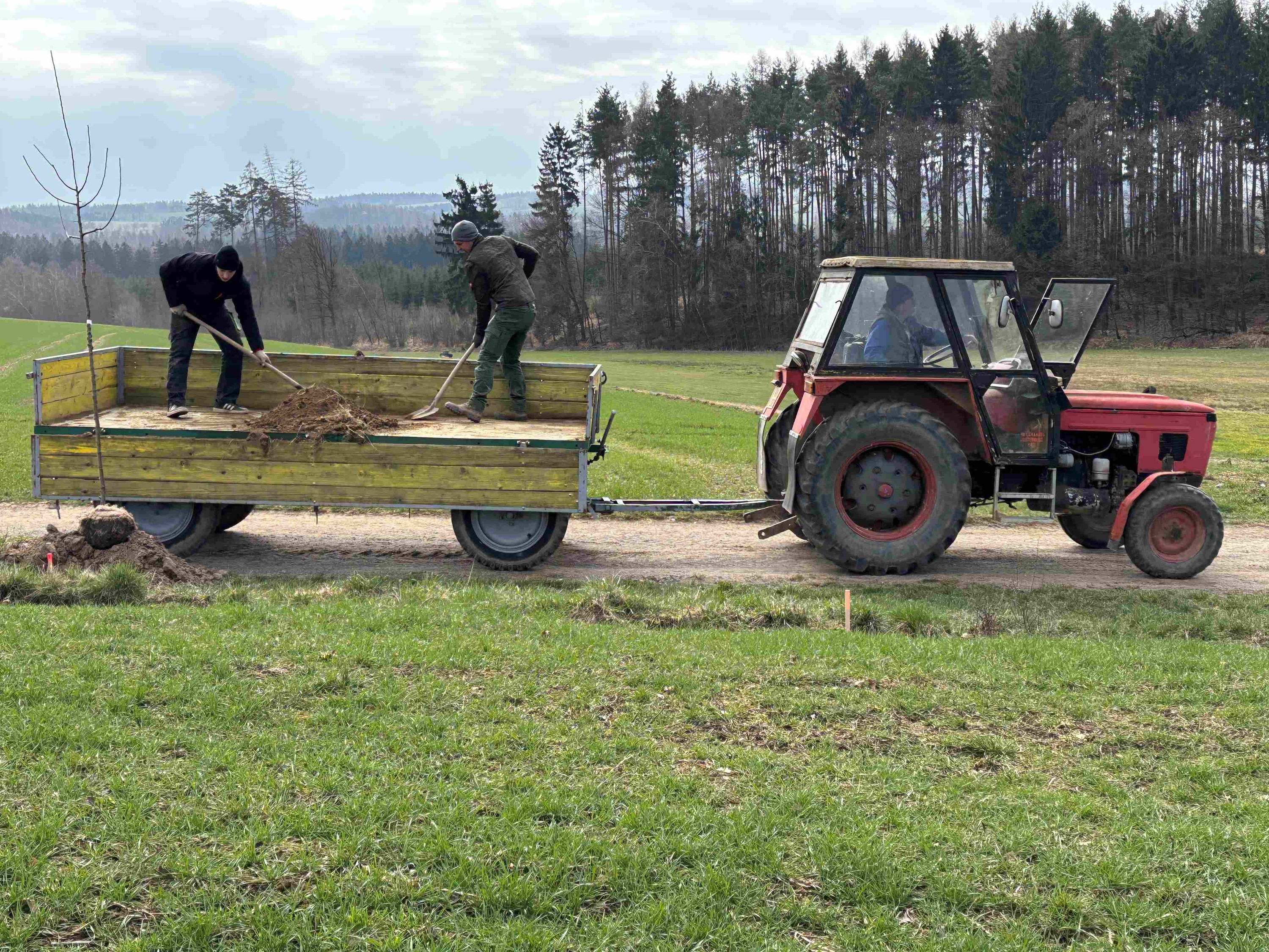 Grant Stromy Chmelná