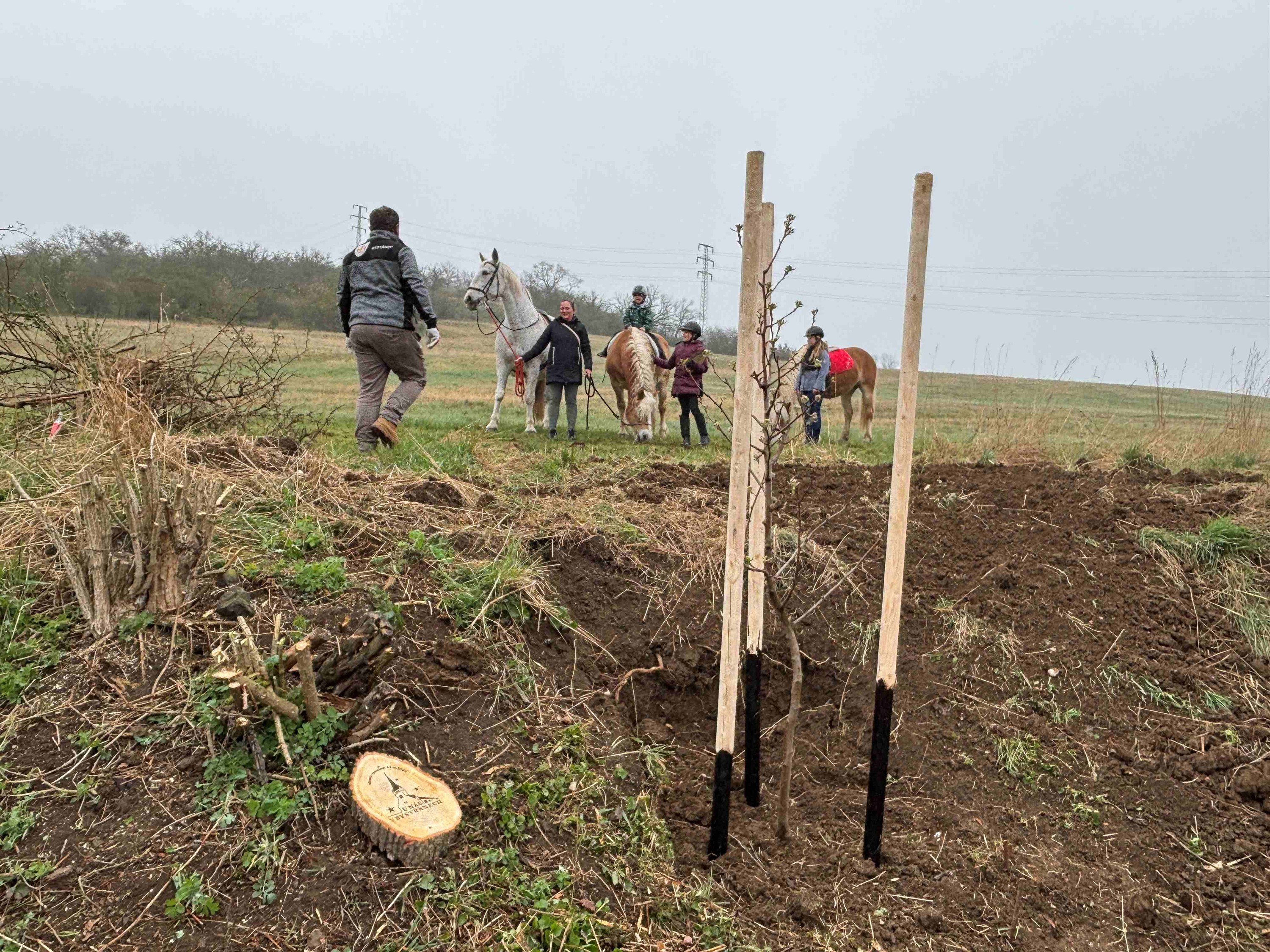 Grant Stromy Bystřany