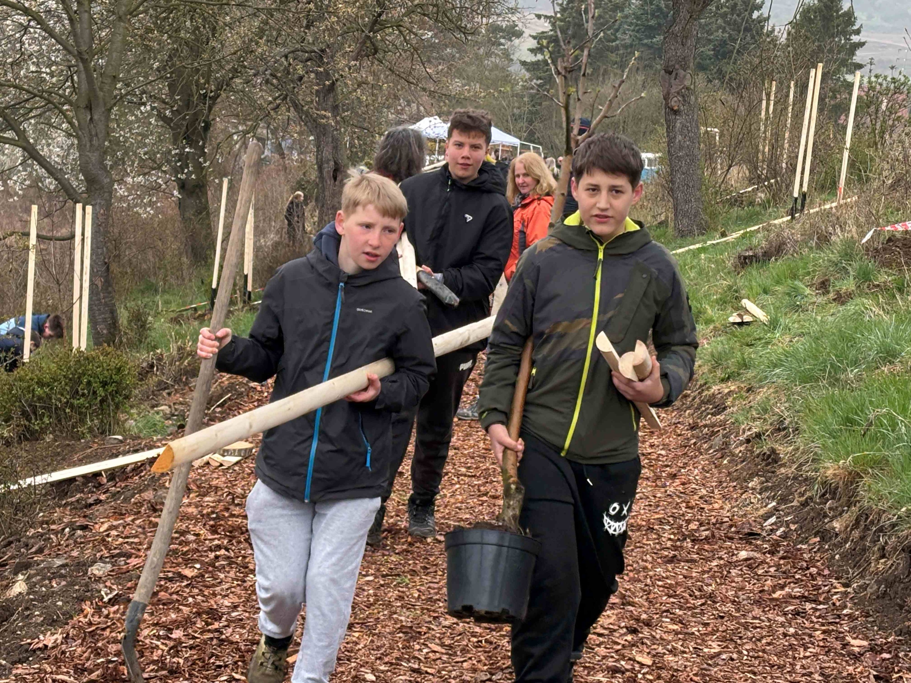 Grant Stromy Bystřany