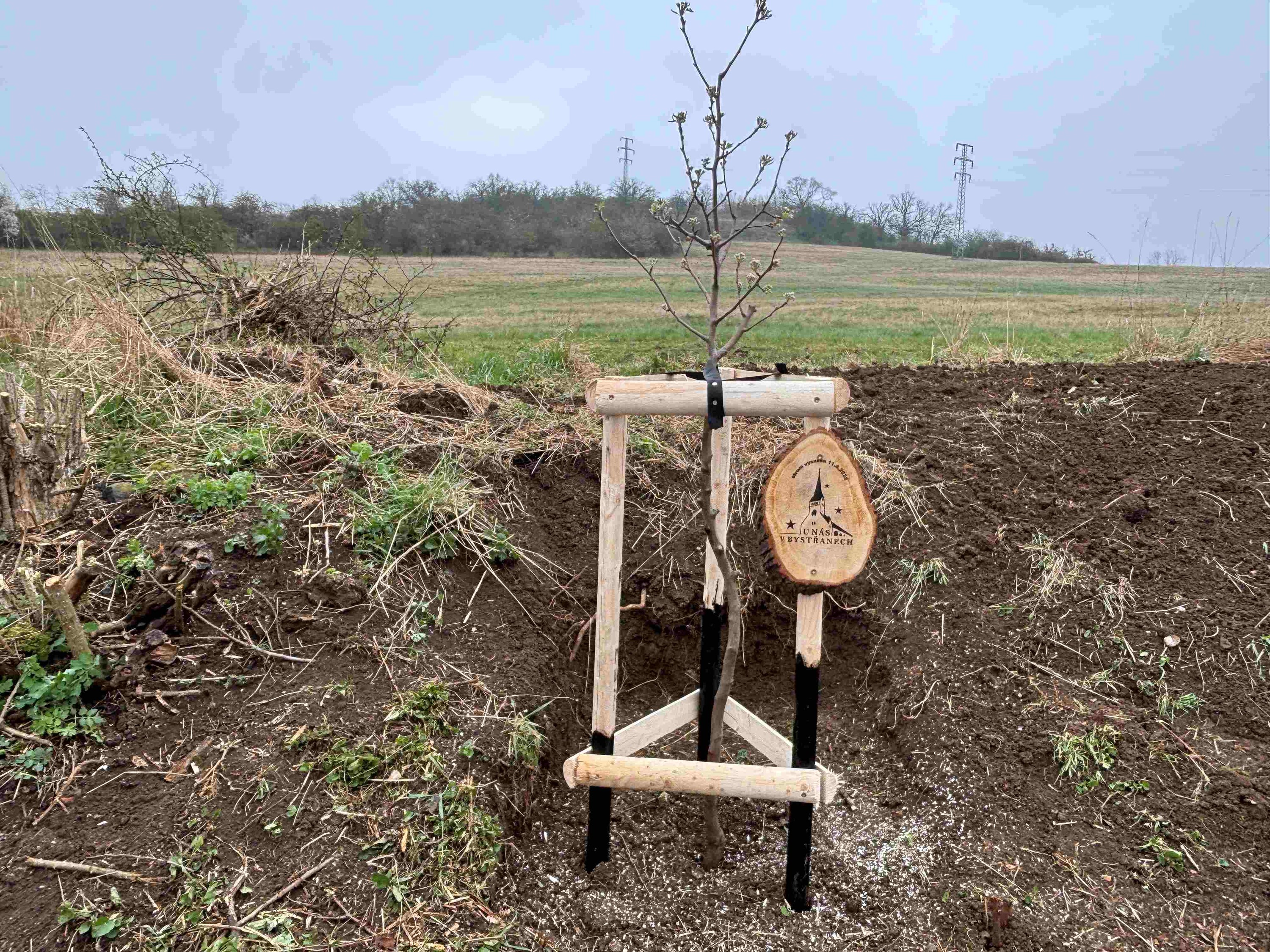 Grant Stromy Bystřany