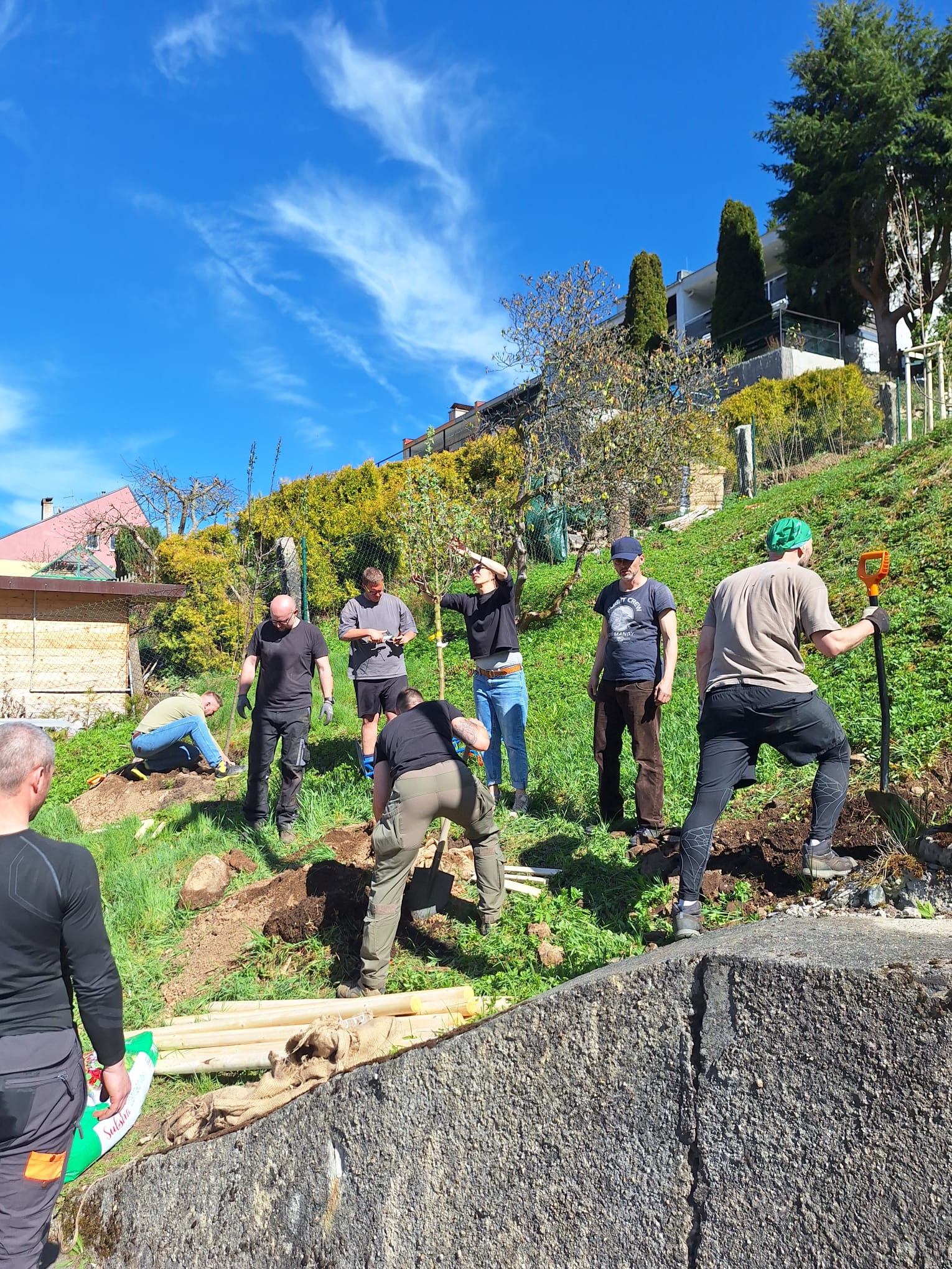 Výsadba stromů v Březové/Karlovy Vary