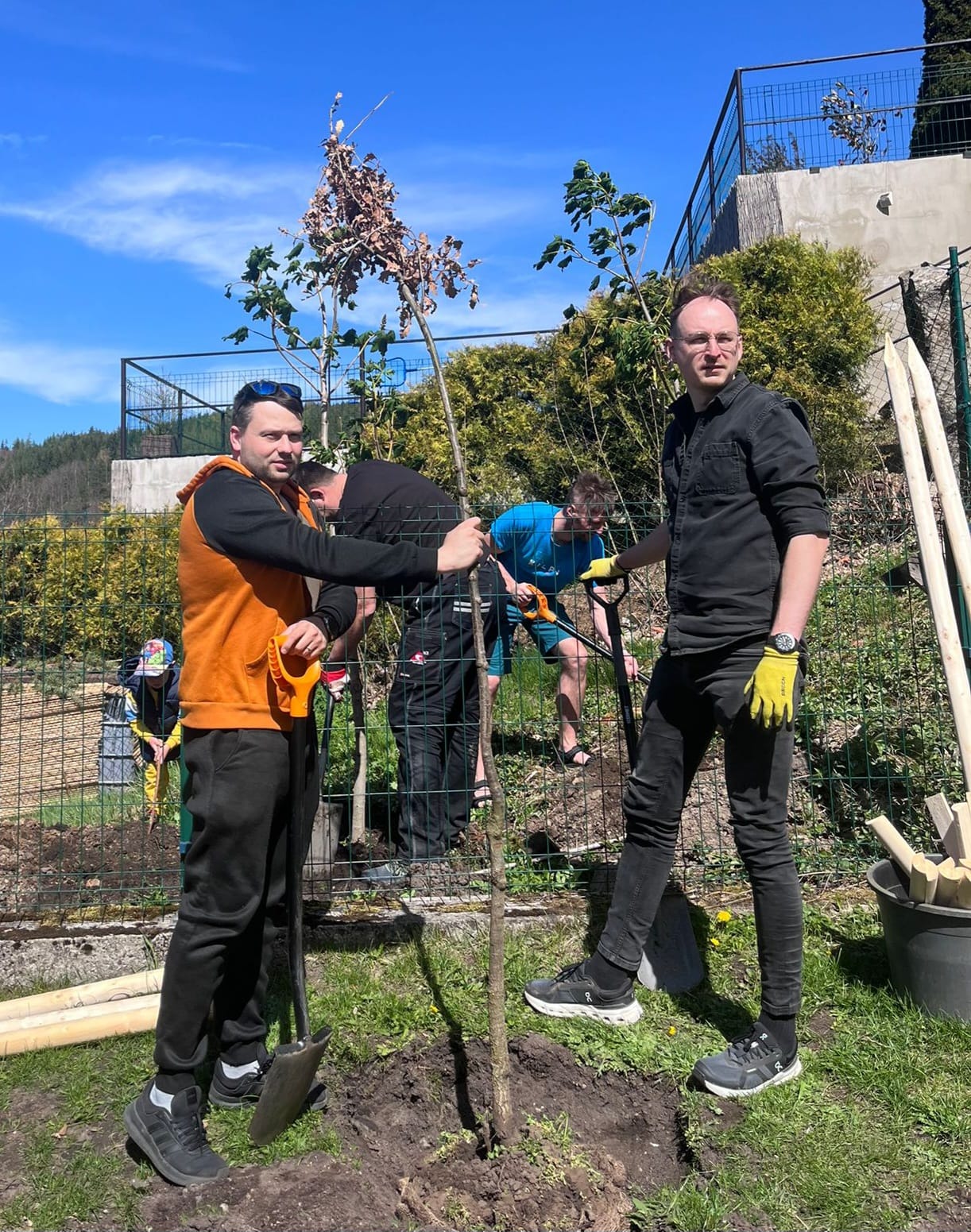 Výsadba stromů v Březové/Karlovy Vary