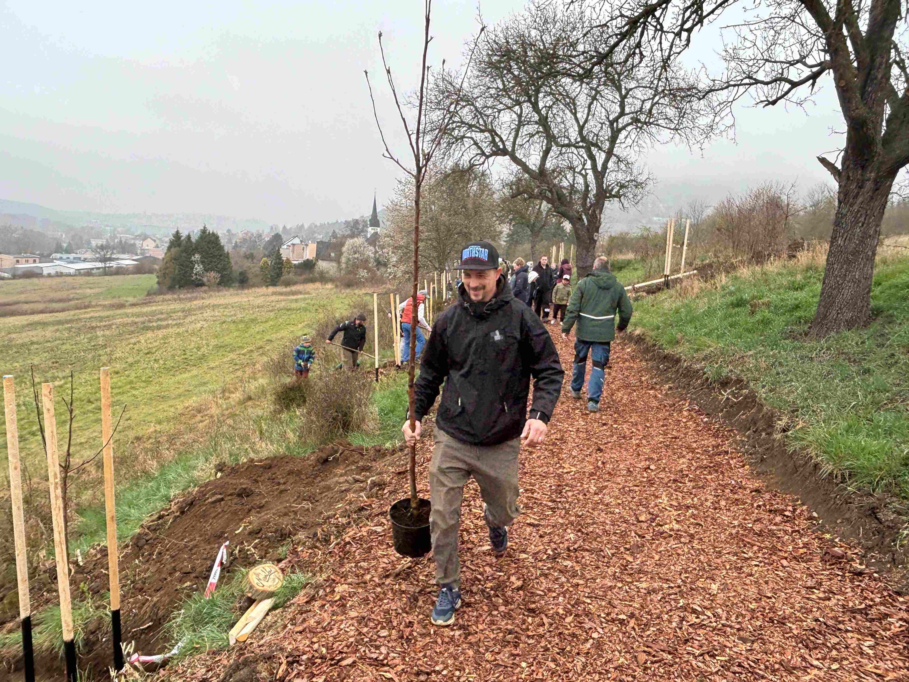 Grant Stromy Bystřany