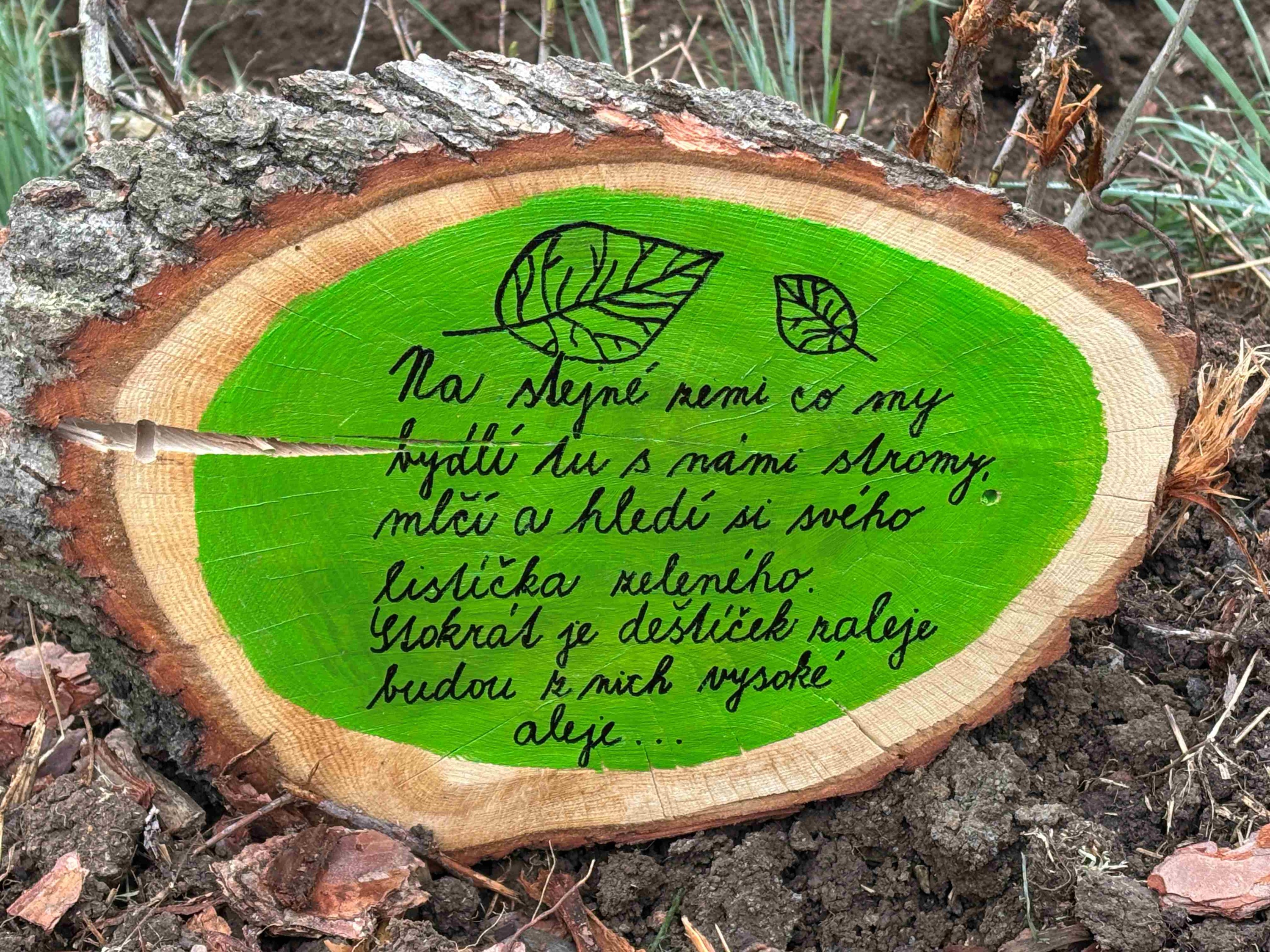 Grant Stromy Bystřany