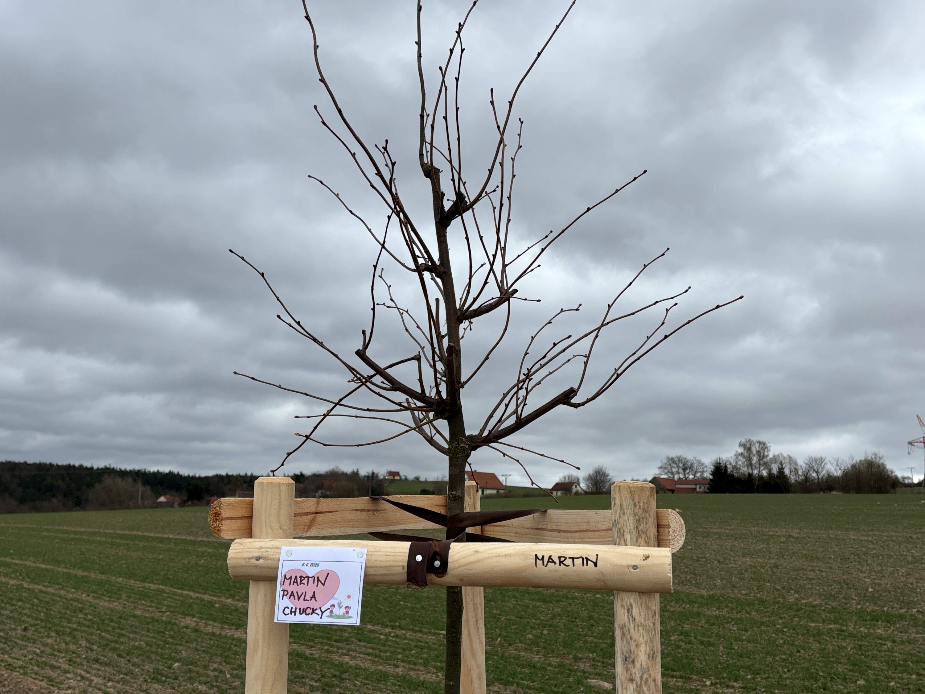 Grant Stromy Příčina