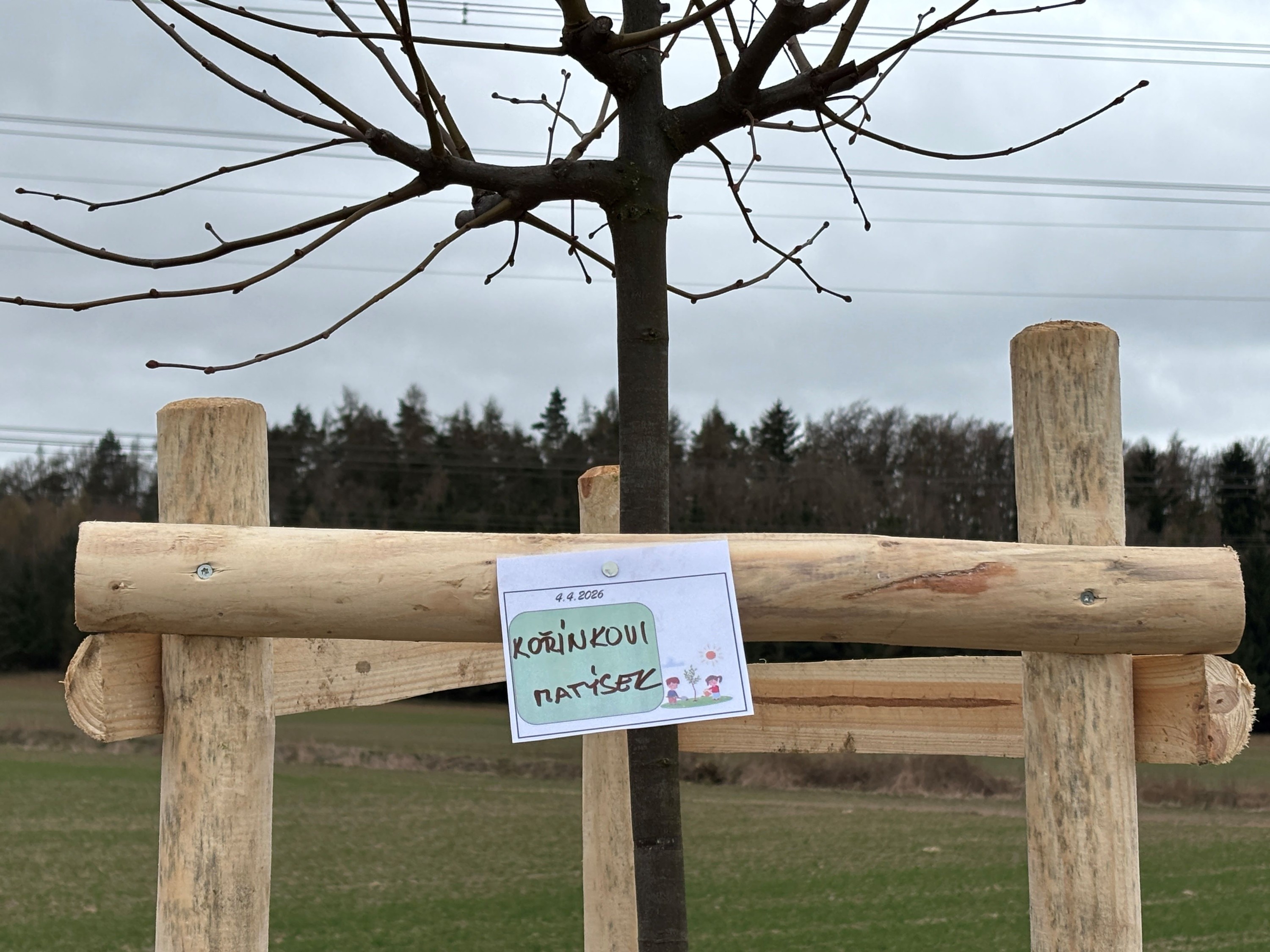 Grant Stromy Příčina