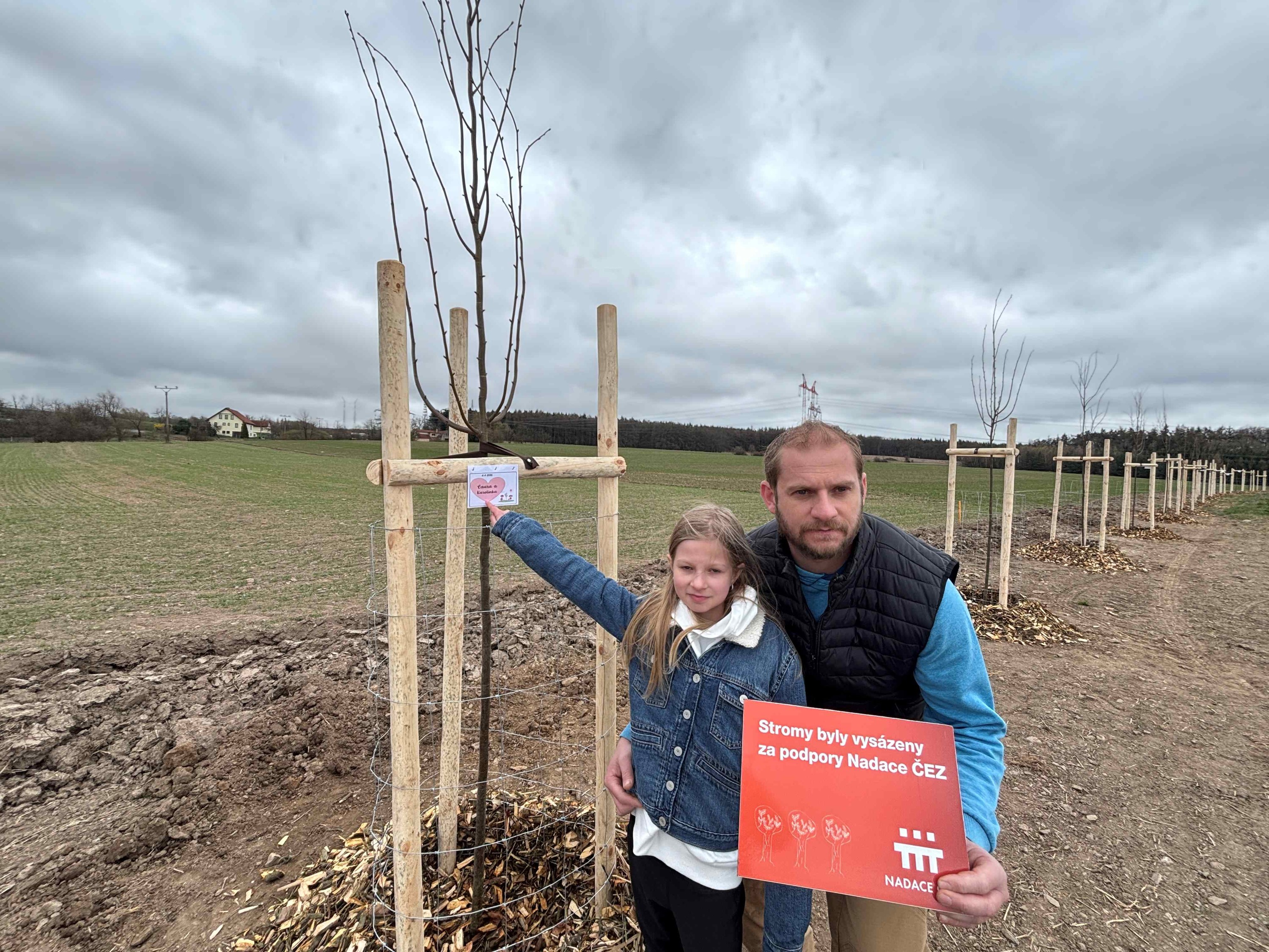 Grant Stromy Příčina