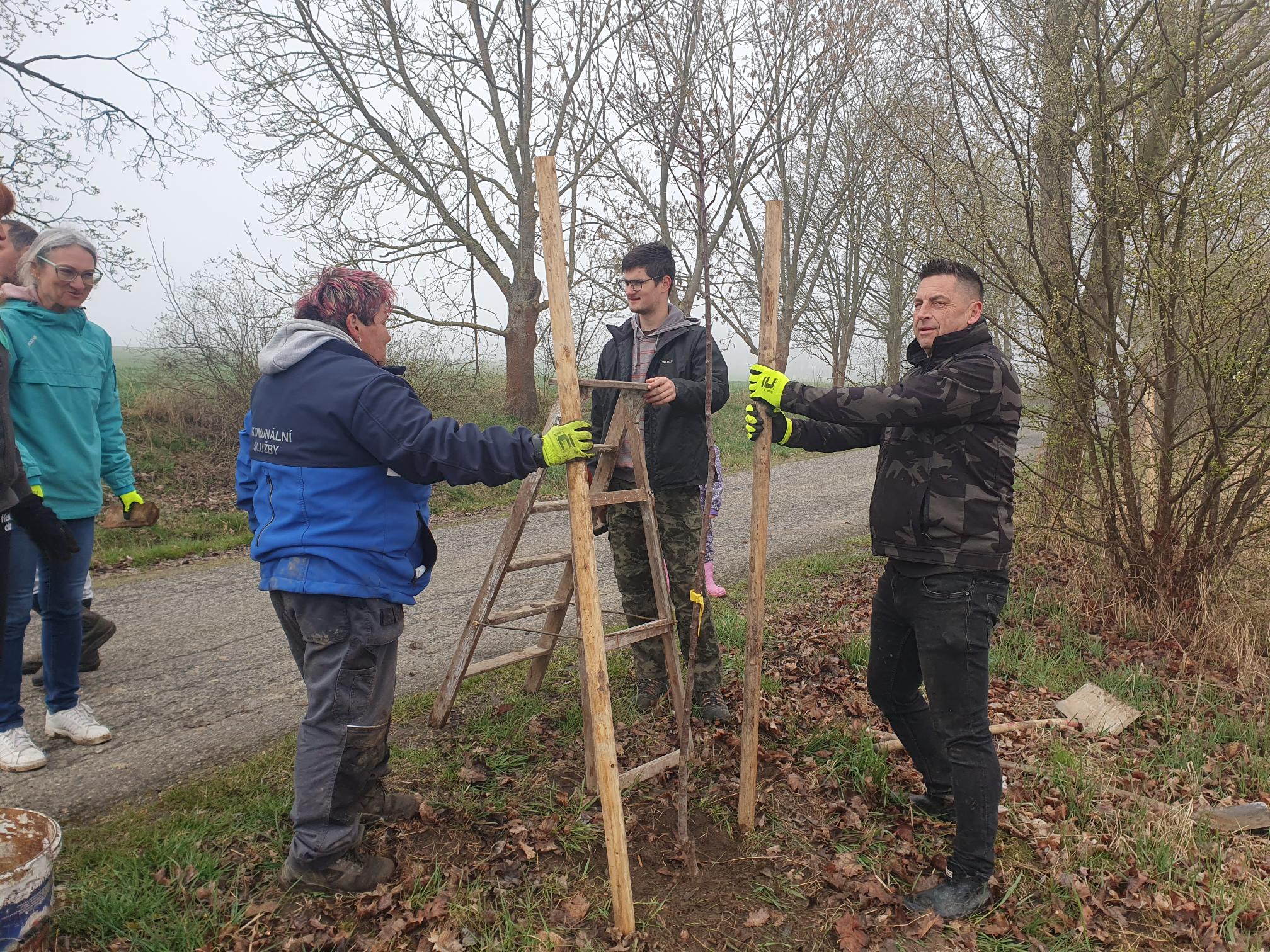 Výsadba ve Stebnici